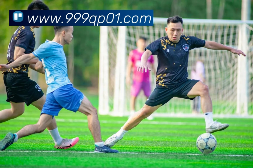 奖项证书